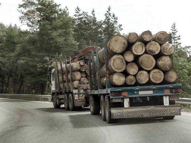 inner_big_trucks_01 https://a2bexpress.nl/wp-content/uploads/2017/08/inner_big_trucks_01-640x480.jpg